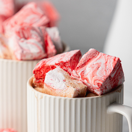 Quick & Easy Peppermint Hot Chocolate Mix + Recipe!