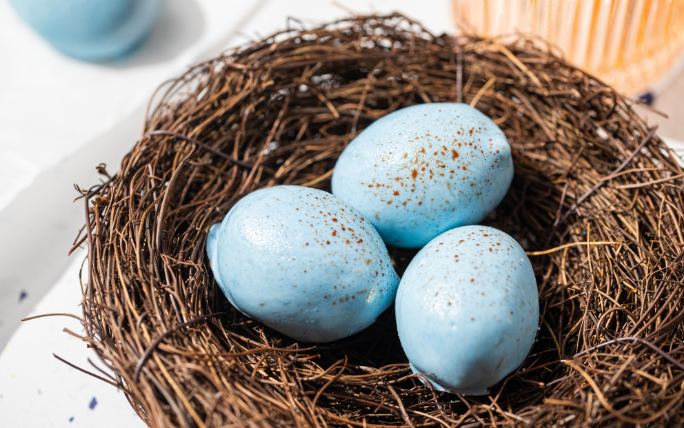 Easy Robins Egg Spring Recipe — Amoretti