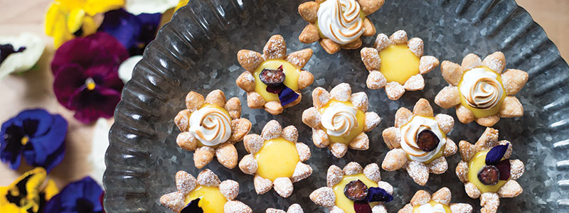 Lemon Tarts — Amoretti