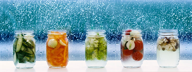 Pickled Vegetables lined up