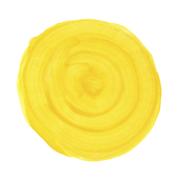 Natural Yellow W.S. Absolute Food Color