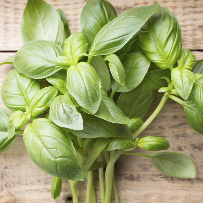 Basil Eatable Basil Edible Perfume Spray — Amoretti