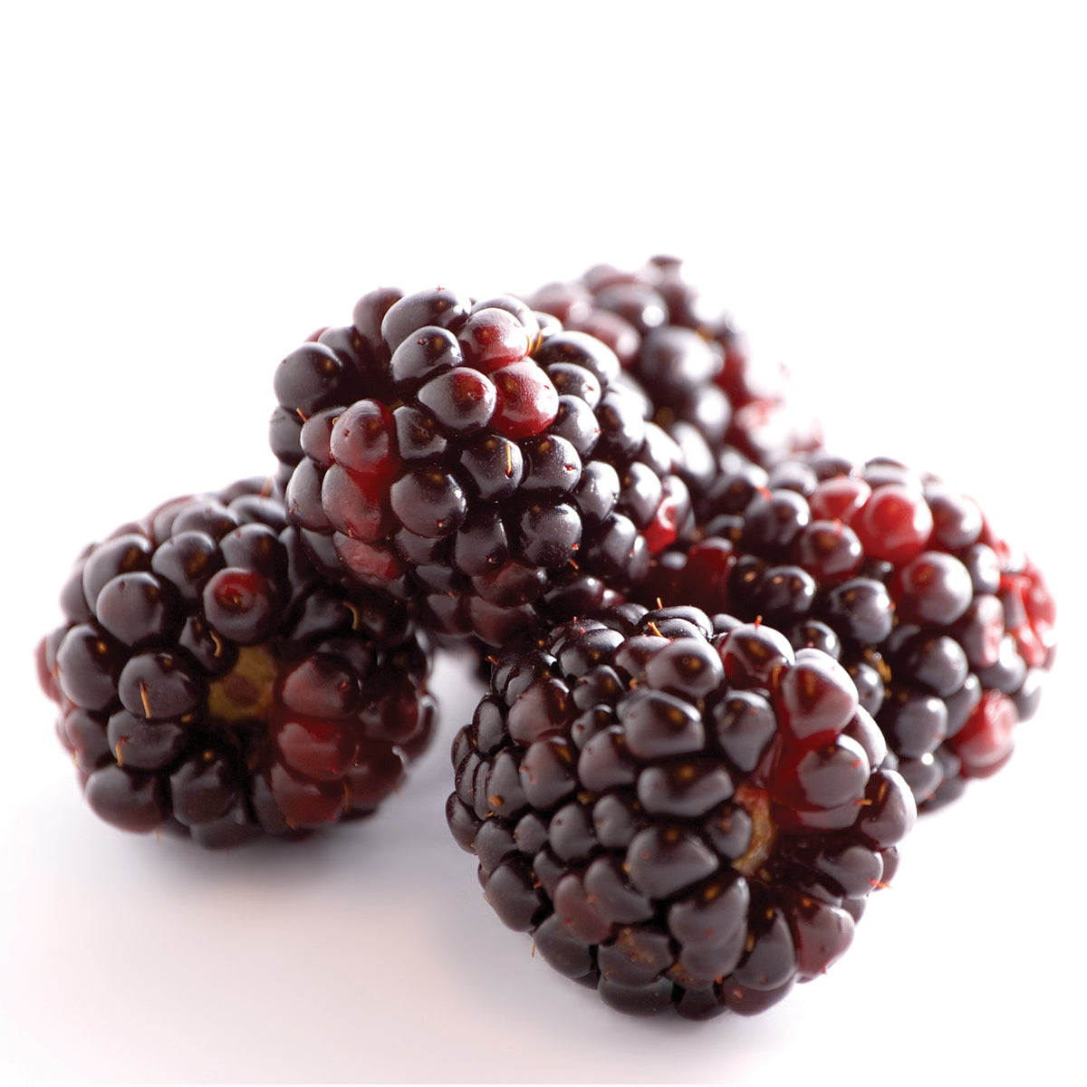 Natural Boysenberry Extract Oil Soluble — Amoretti