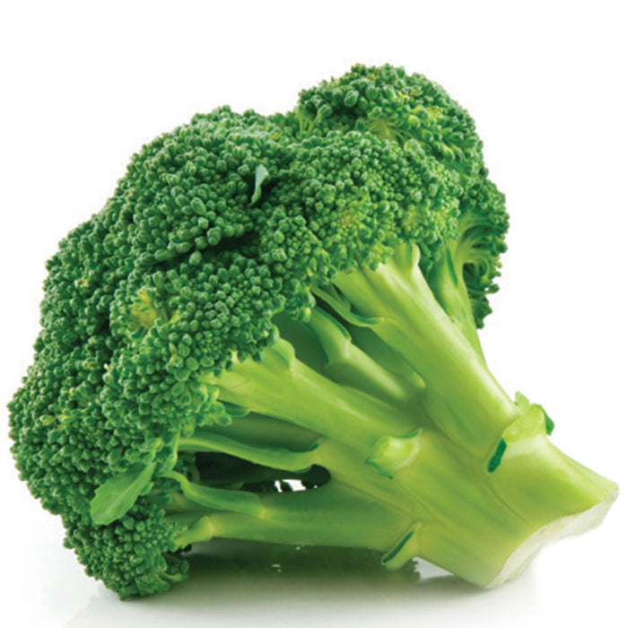 Broccoli Solution Broccoli Extract Water Soluble — Amoretti