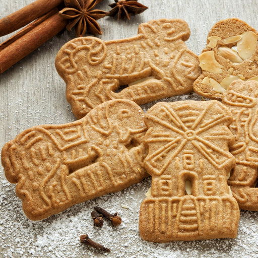 Amoretti Natural Speculoos Cookie Extract W.S.