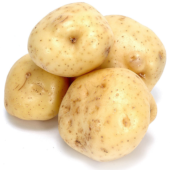Amoretti Potato Extract W.S.