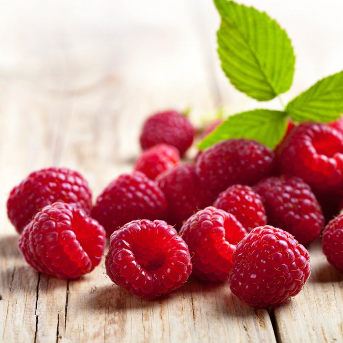 Amore Frutti Raspberry Crema Di Raspberry™ Industrial Compound — Amoretti