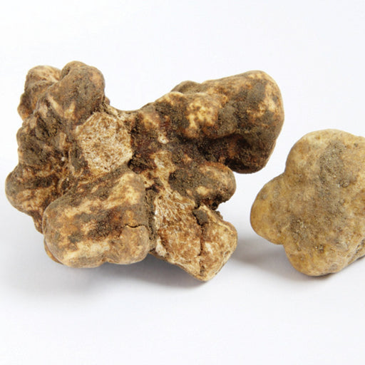 Amoretti White Truffle Extract W.S.