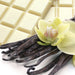 Amoretti White Chocolate Vanilla Industrial Compound